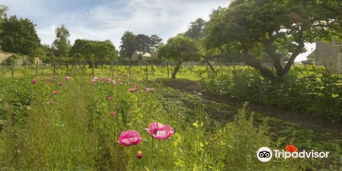 Photo of Outdoor in Bradford-on-Avon