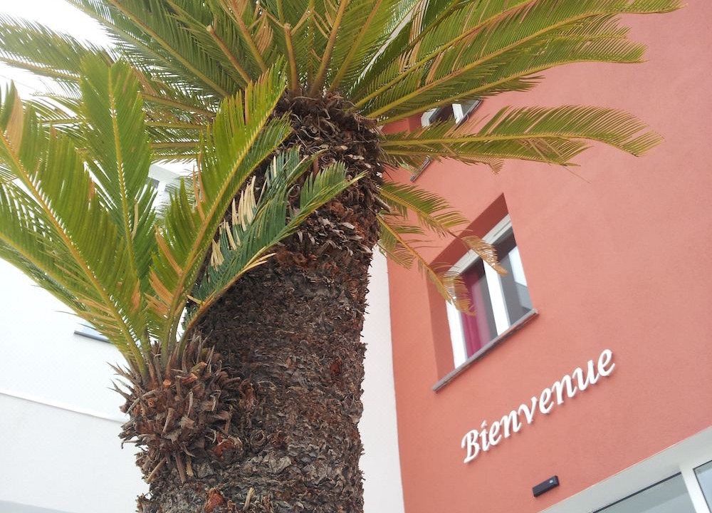 Photo of Buildings in Perpignan