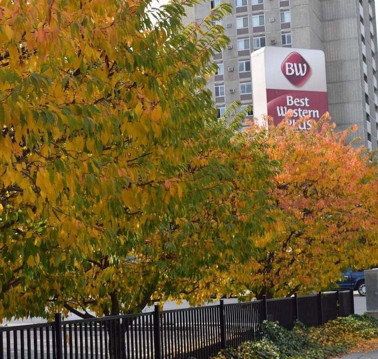 Photo of Others in Riverside