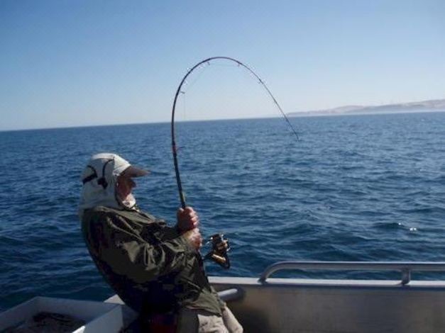 Photo of Human In Picture in Cape Jervis