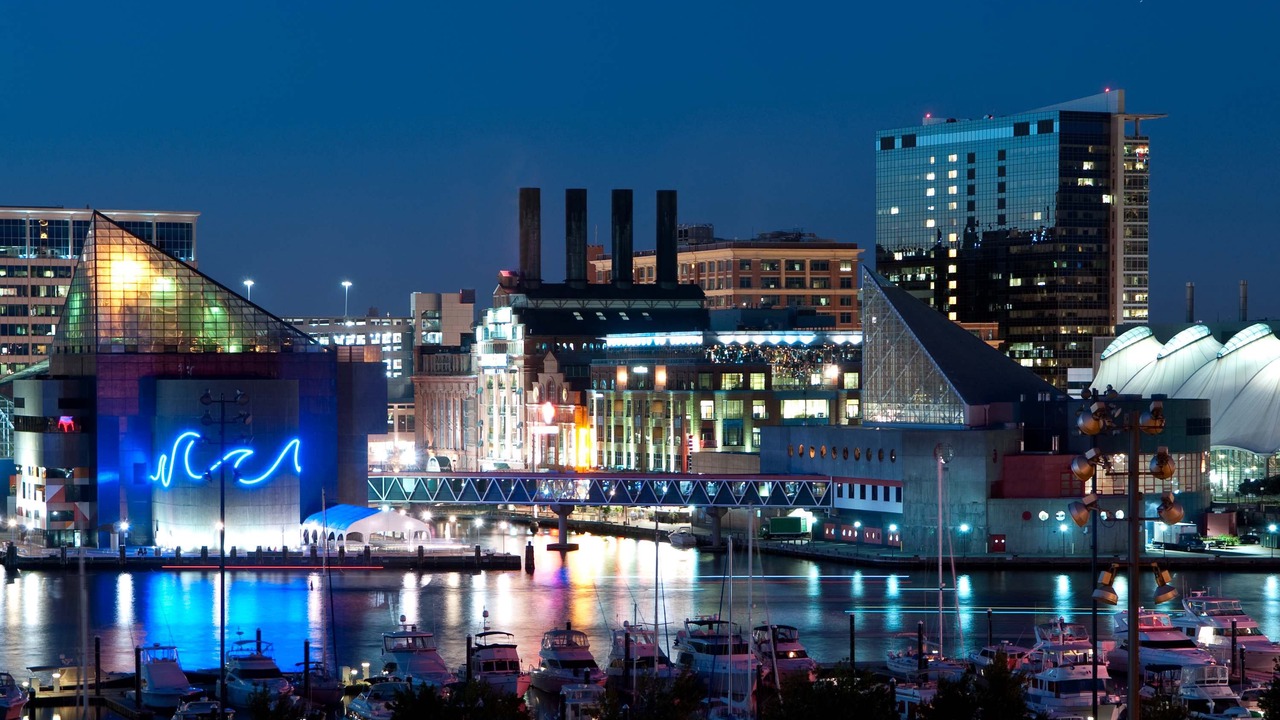 Photo of Others in Downtown Baltimore