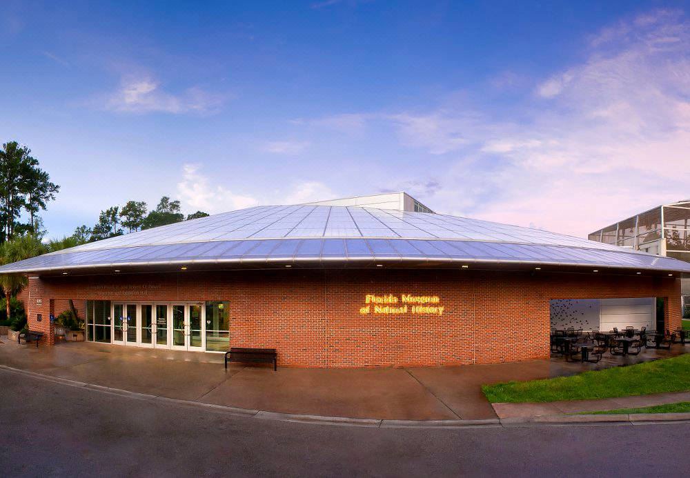 Photo of Buildings in Gainesville