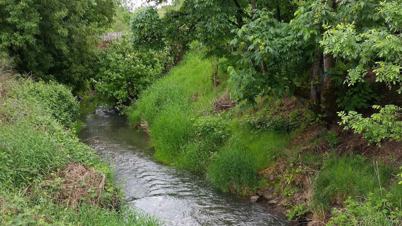 Photo of Outdoor in Tigard