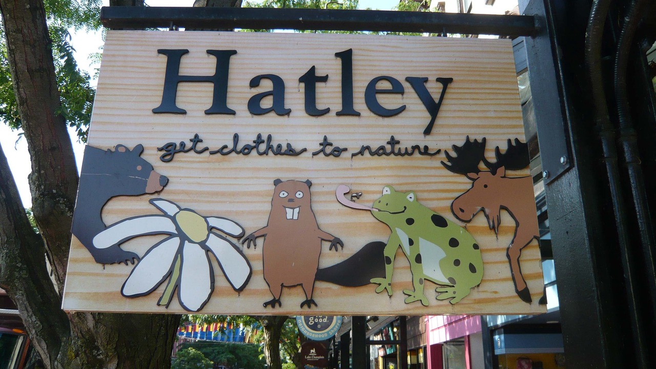 Photo of Buildings in Williston North