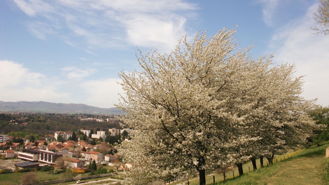 Photo of Outdoor in Francheville Le Bas