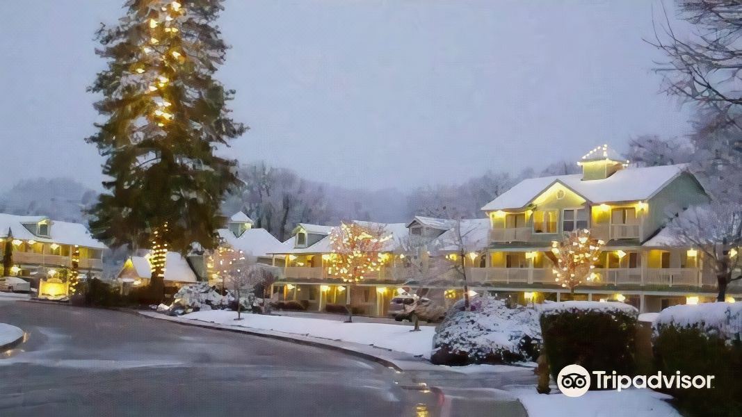 Photo of Others in Willits