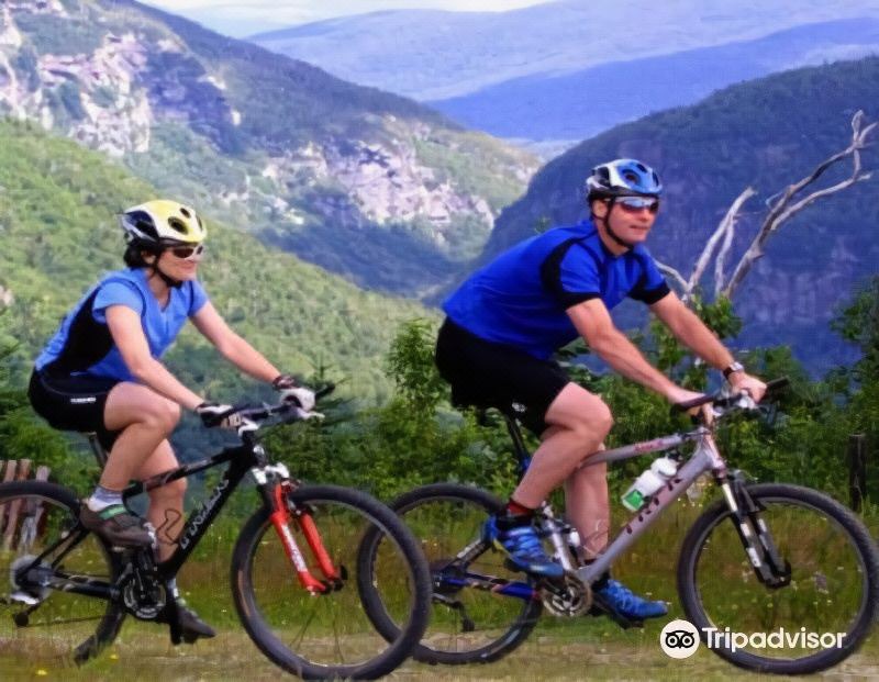 Photo of Human In Picture in Waterbury