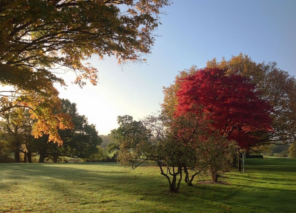 Photo of Outdoor in Heckfield