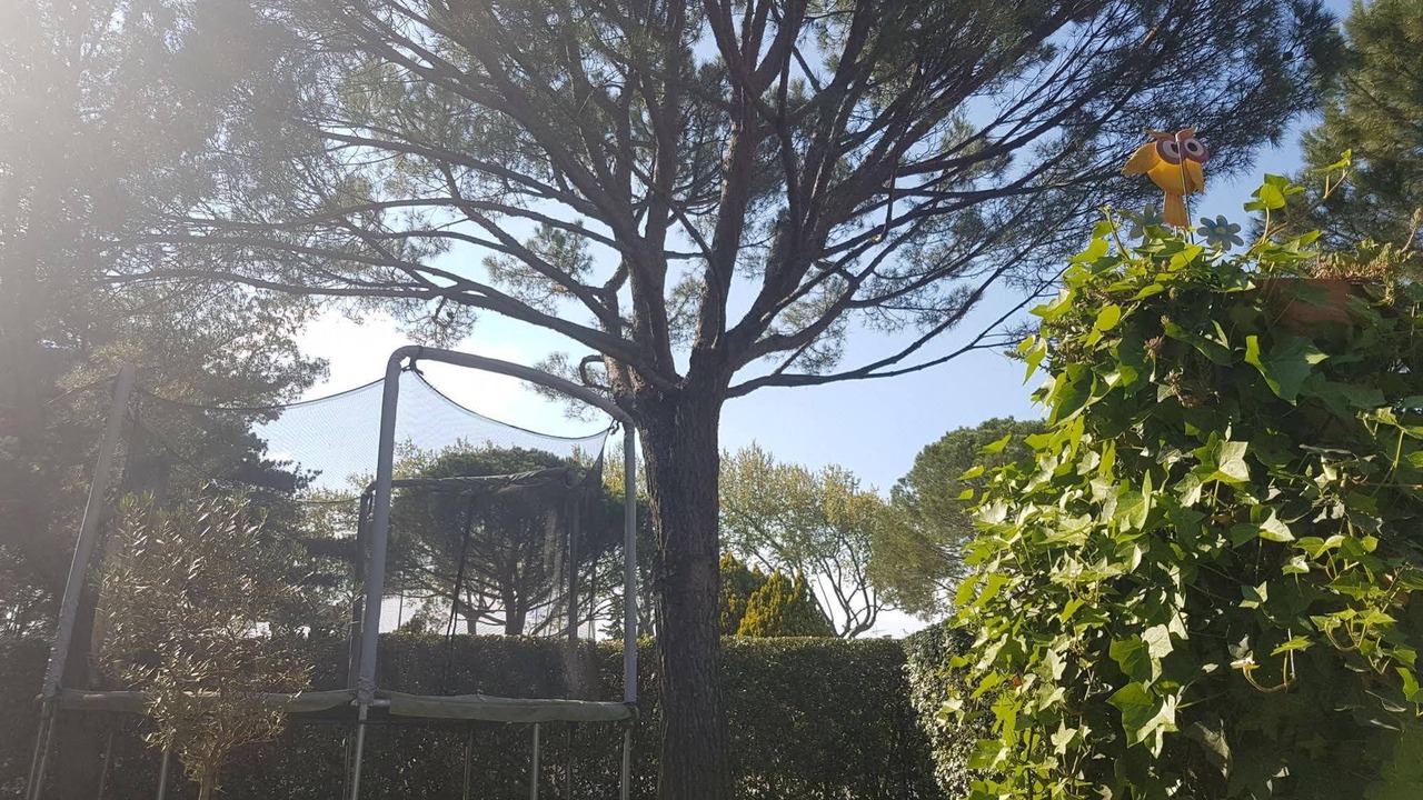 Photo of Others in Pont-Saint-Esprit