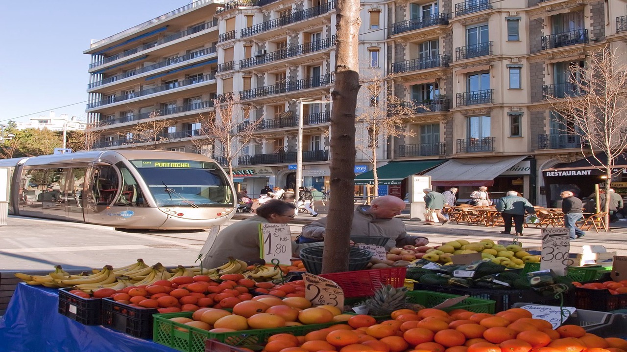 Photo of Buildings in Vernier