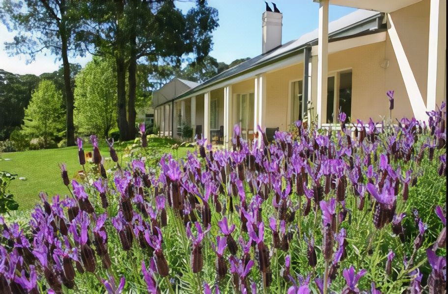Photo of Buildings in Red Hill