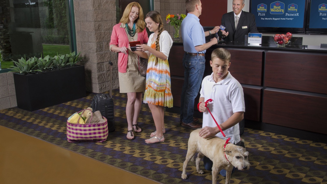 Photo of Human In Picture in Rockland