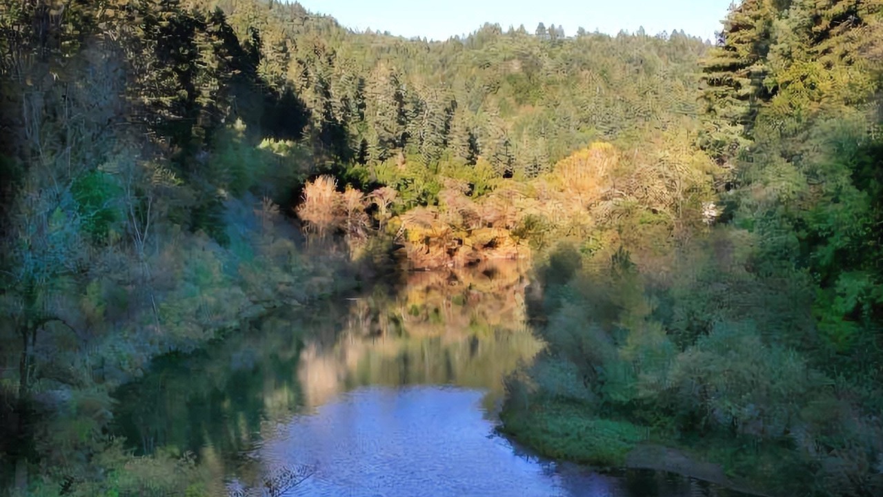 Photo of Outdoor in Healdsburg