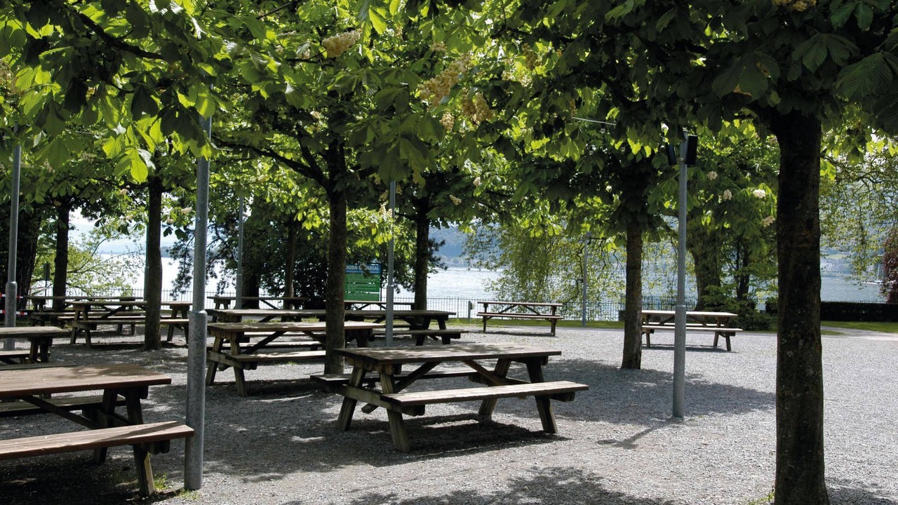 Photo of Others in Horgen District