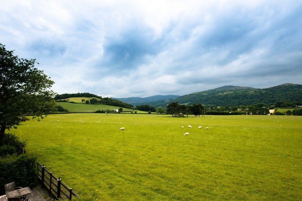 Photo of Others in Henryd