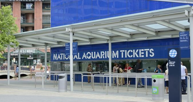 Photo of Buildings in Downtown West