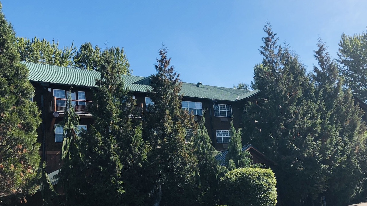 Photo of Buildings in Vancouver