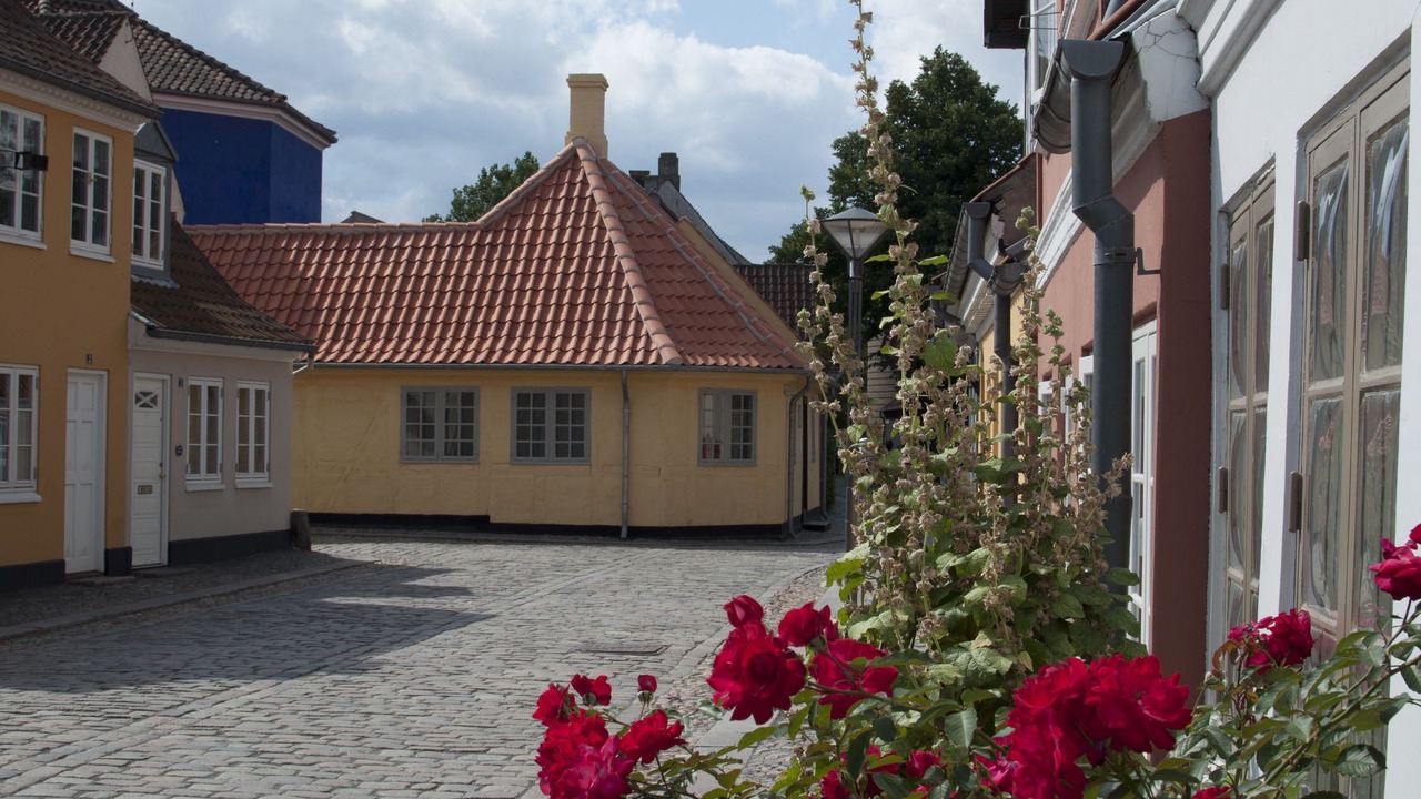 Photo of Buildings in Odense