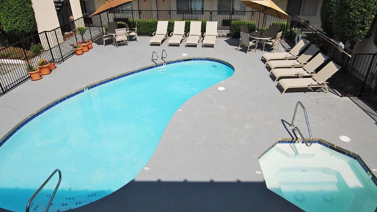 Photo of Outdoor in Cornwall Park