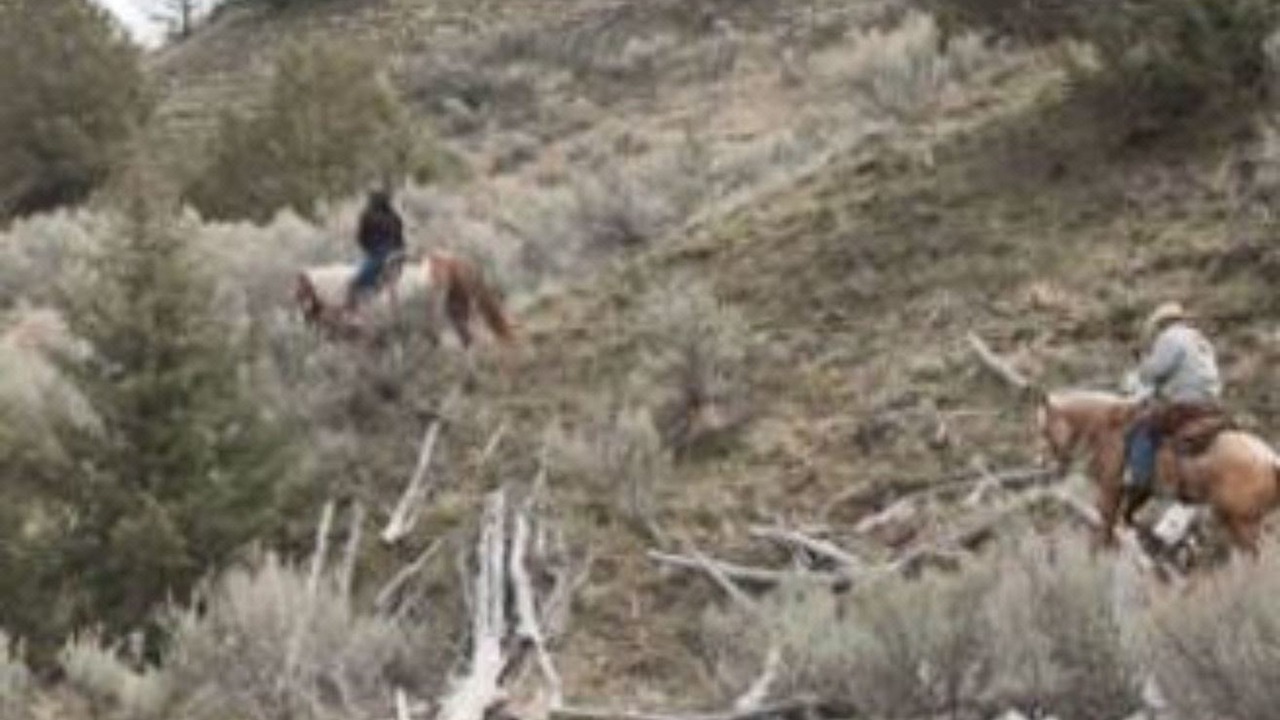 Photo of Outdoor in Fossil