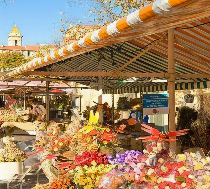 Photo of Others in Vernier