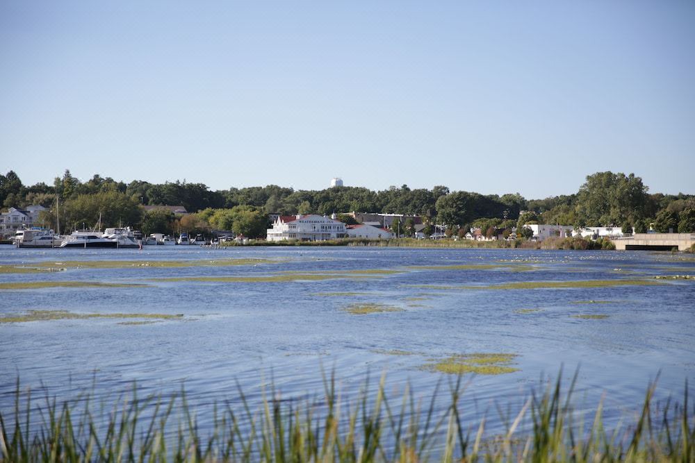 Photo of Outdoor in Montague
