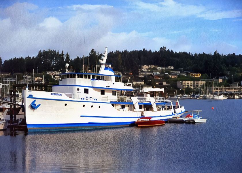 Photo of Others in Gig Harbor