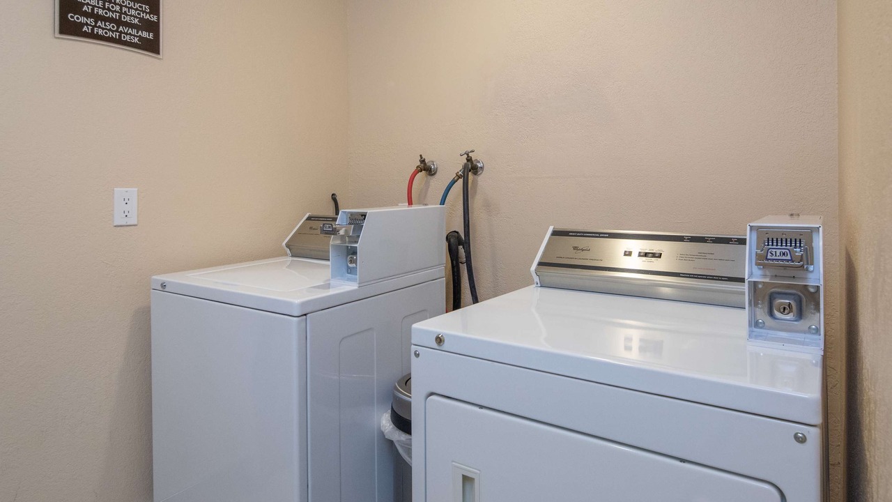 Photo of Others in Snail