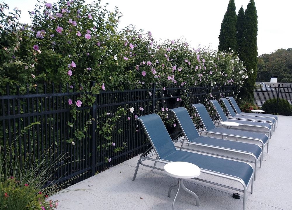 Photo of Others in Plymouth