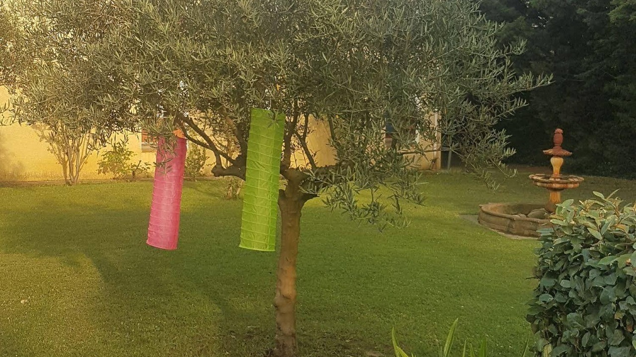 Photo of Outdoor in Pont-Saint-Esprit