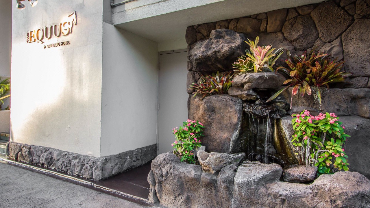 Photo of Others in Waikiki