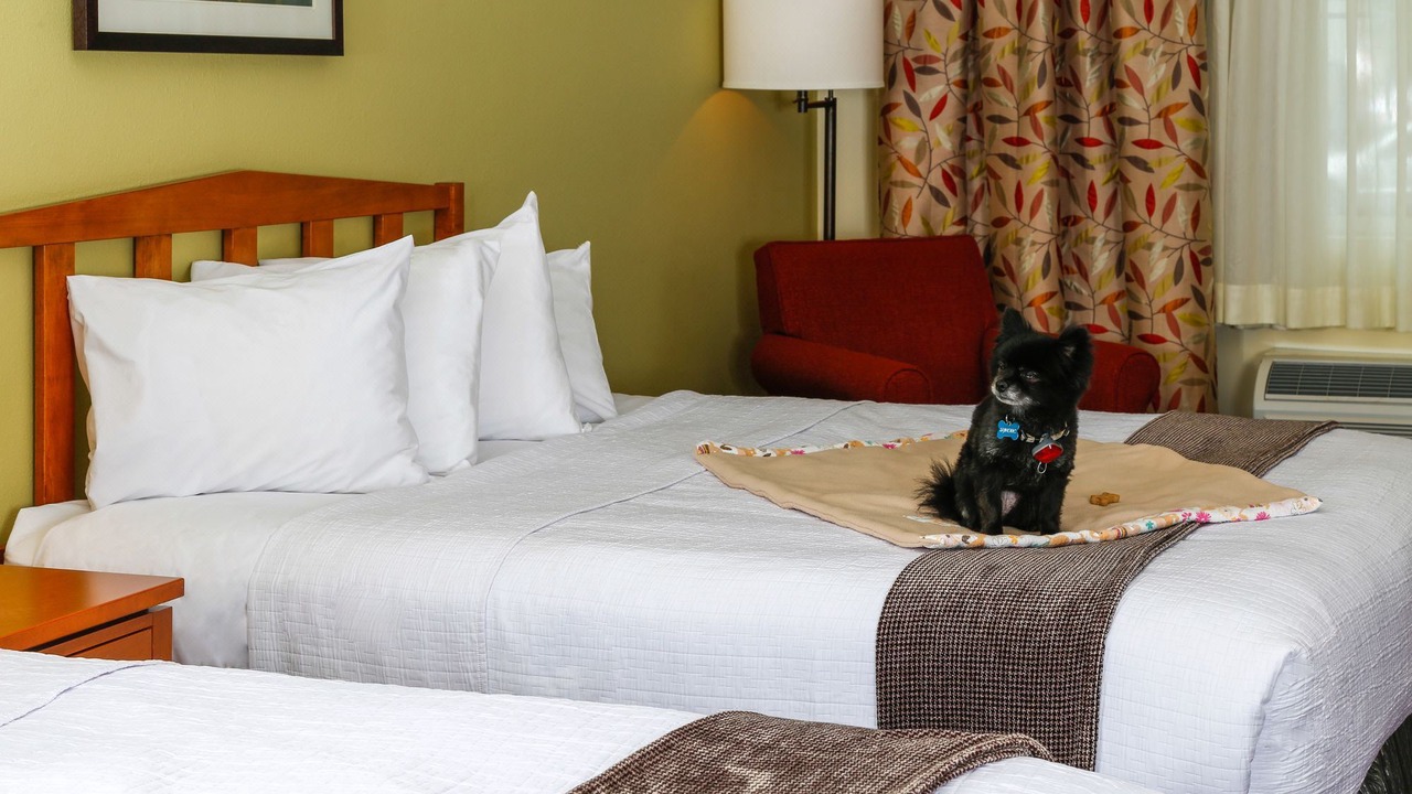 Photo of Bedroom in Whitefish