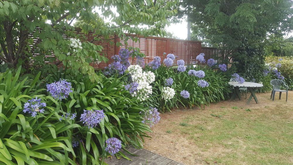 Photo of Others in Epsom