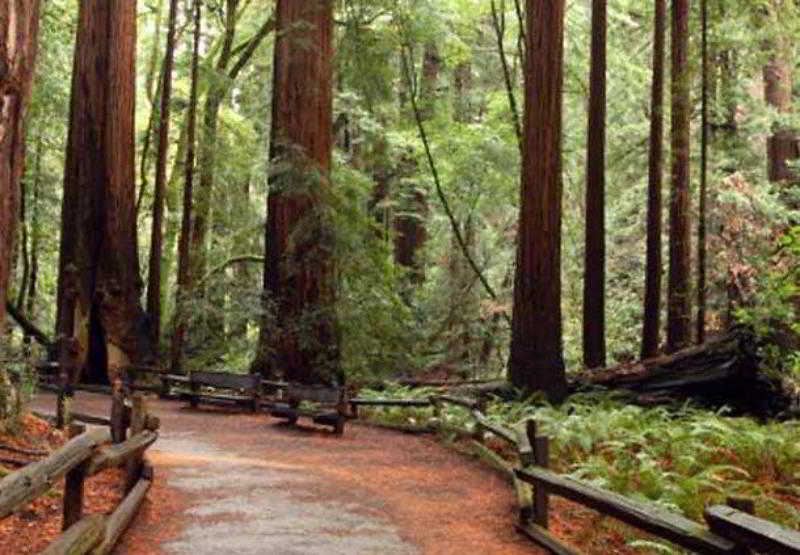 Photo of Patio Balcony in San Ramon