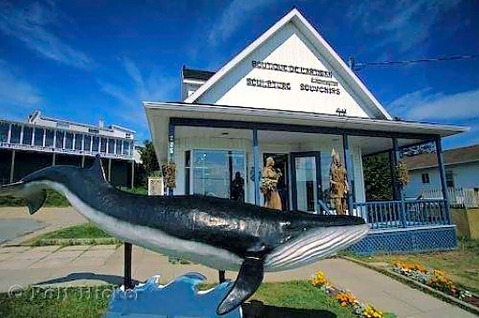 Photo of Others in Tadoussac