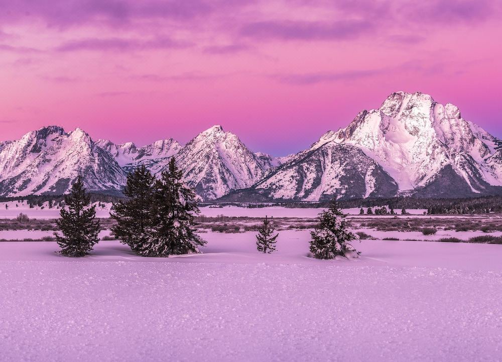 Photo of Bedroom in Jackson Hole