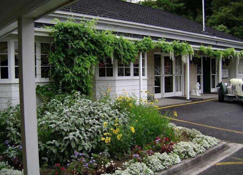Photo of Buildings in Whangarei