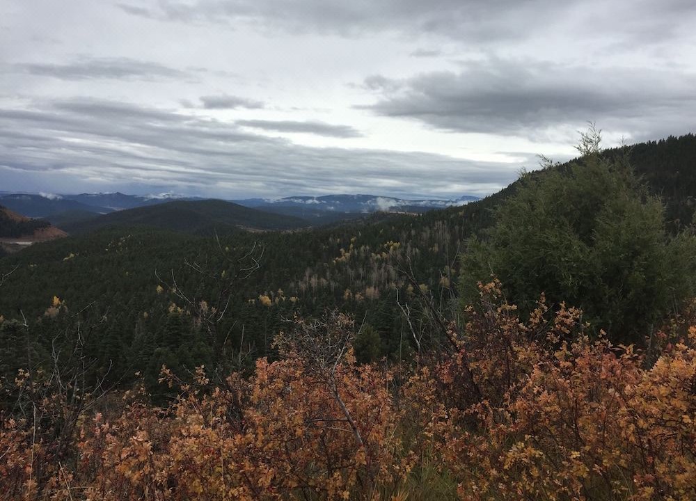 Photo of Outdoor in Ruidoso Downs