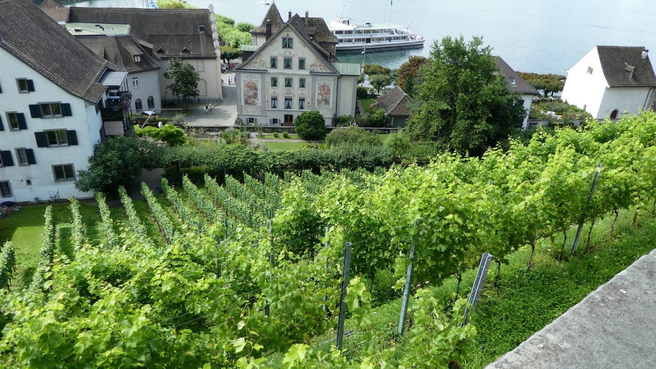 Photo of Buildings in Rapperswil