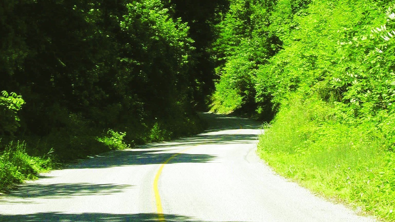 Photo of Others in Simcoe