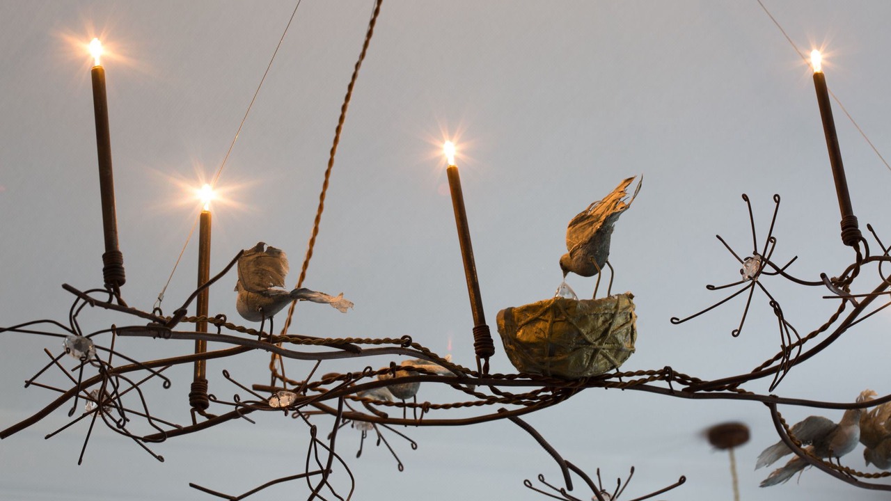 Photo of Others in Avignon City Centre