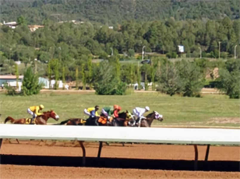 Photo of Others in Ruidoso Downs