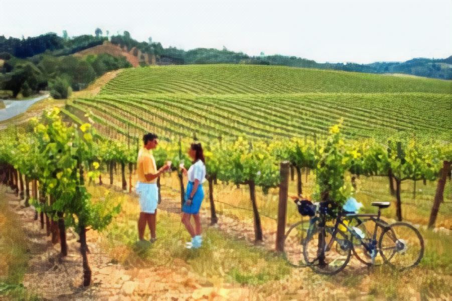 Photo of Others in Healdsburg