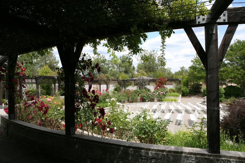 Photo of Others in Rocklin