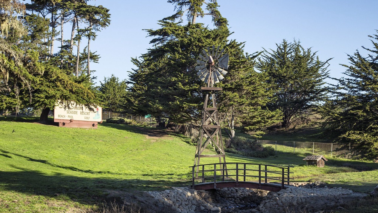 Photo of Others in San Simeon