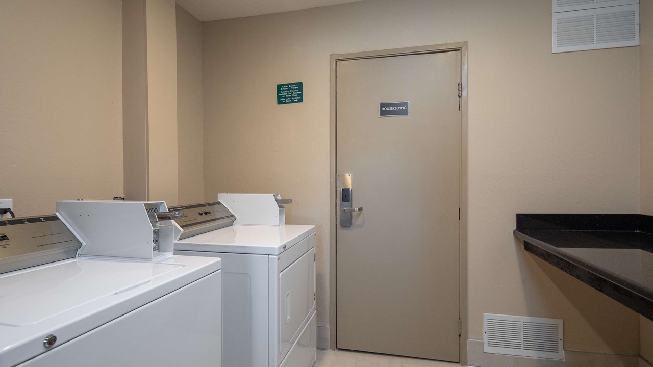 Photo of Others in Snail