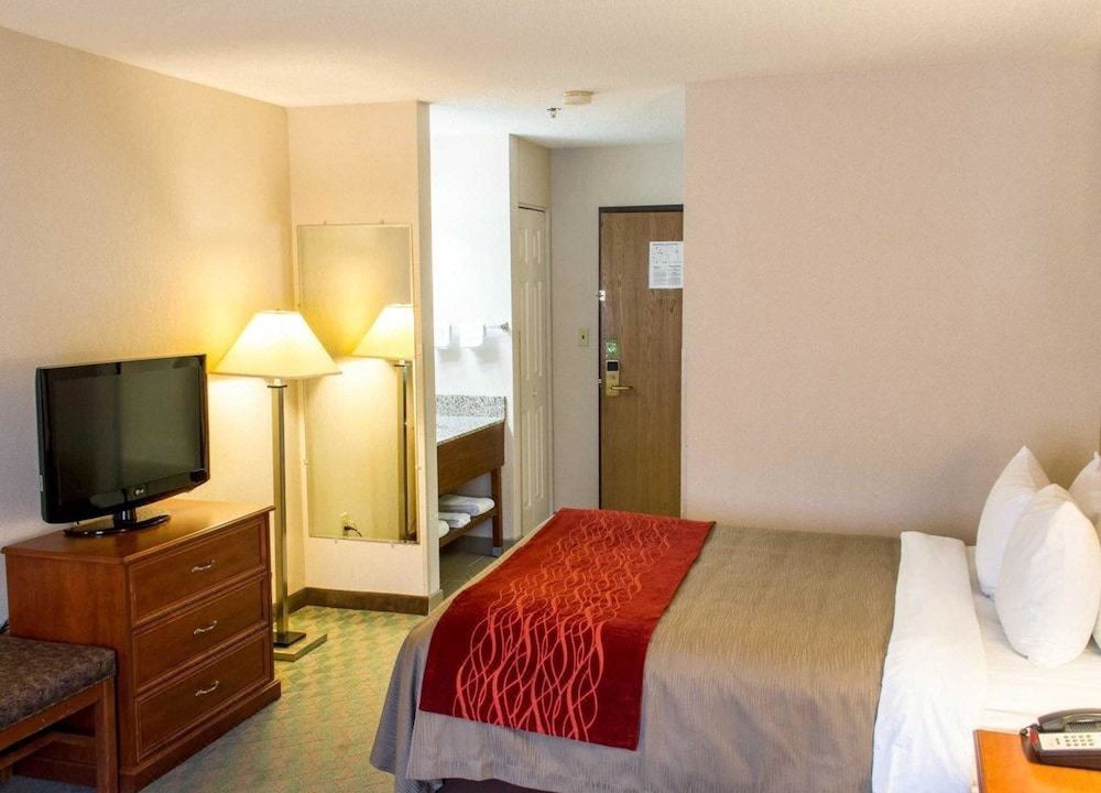 Photo of Bedroom in Hastings
