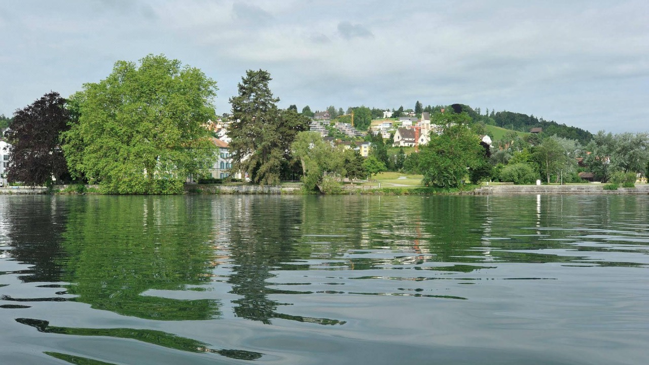 Photo of Others in Horgen District