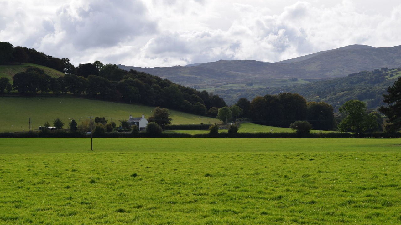 Photo of Others in Henryd