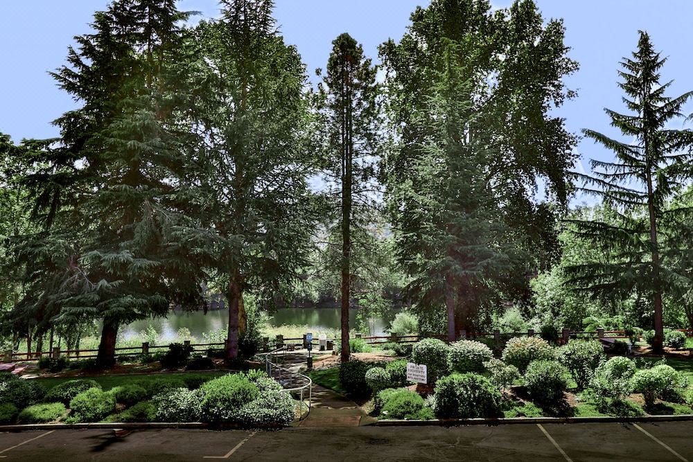 Photo of Others in Roseburg